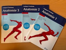 Endspurt vorklinik anatomie gebraucht kaufen  Würzburg