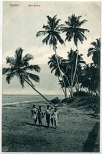 Cpa ceylan sea d'occasion  Hérouville-Saint-Clair