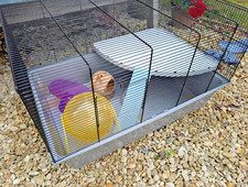Pets home habitat for sale  CHELTENHAM