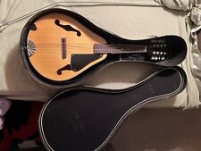 Rare vintage mandolin for sale  Grand Rapids