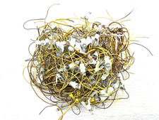 Stück beleuchtungssockel birn gebraucht kaufen Stück beleuchtungssockel birn gebraucht kaufen  Solingen