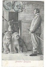 Cirque menagerie lions d'occasion  Sancerre