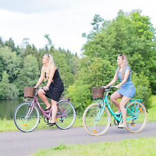 Citybike city rad gebraucht kaufen  Ellwangen (Jagst)