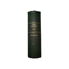 Riginal reichsgesetzblatt 1919 gebraucht kaufen  Rosenheim