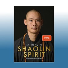 Shaolin spirit meistere gebraucht kaufen  Bornheim
