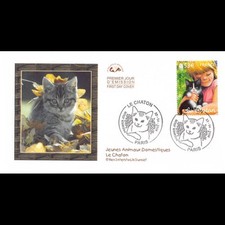 Cef jeunes animaux d'occasion  Crécy-la-Chapelle