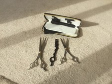 Kenchii scissor set for sale  ALFORD