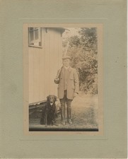 Flat coated retriever for sale Flat coated retriever for sale  COLEFORD