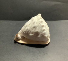 Horned queen helmet for sale  Loveland