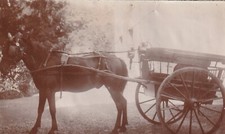 Aa495 photo originale d'occasion  Reims