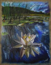 Seerose öl leinwand gebraucht kaufen  Oldenburg (Oldenburg)