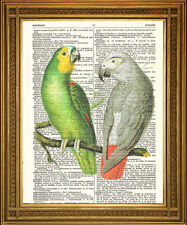 Vintage dictionary page for sale  SUTTON