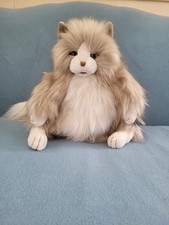 Fluffy cat full for sale  Providence