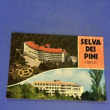 Selva dei pini usato  Bari