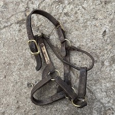 leather headcollar for sale  DARLINGTON