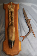 Taxidermie trophée chasse d'occasion  Cosne-Cours-sur-Loire