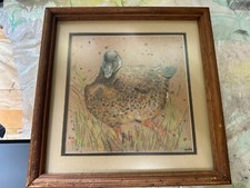 Vintage oklahoma duck for sale  USA