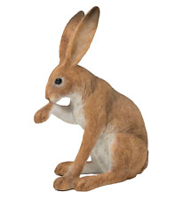 Sale brown hare for sale  DONCASTER