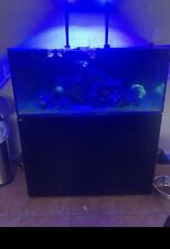 Used aquarium tank for sale  Parrish