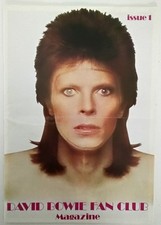 David bowie fan for sale  CHRISTCHURCH