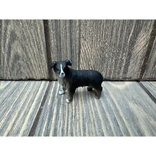 Miniature border collie for sale  Marion