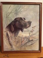 gun dog prints for sale gun dog prints for sale BUNGAY