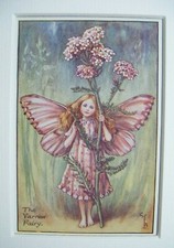 Vintage flower fairies for sale  TELFORD