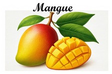 Mangue etiquettes vinyle d'occasion  Ingwiller