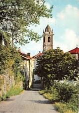 Cartolina alpicella varazze usato  Milano