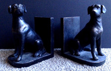 Black lab labrador for sale  Reno