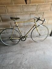 Halfords international gold for sale  DERBY