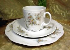 Rosenthal monbijou grüne gebraucht kaufen  Neuengörs