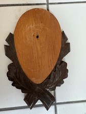 Scudo legno per usato  Viterbo