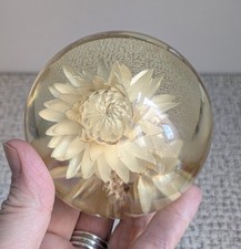 60s vintage hippocampus for sale 60s vintage hippocampus for sale  LEICESTER