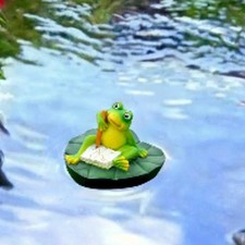 Teich wasser schwimmender gebraucht kaufen  Versand nach Germany