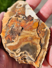Crazy lace agate for sale  WISHAW