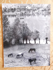 24x18 vintage fotografia usato  Cremona