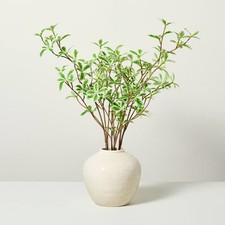 X17 faux variegated for sale  USA