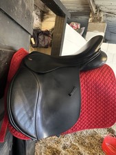 Kent masters cob for sale  MIDDLESBROUGH