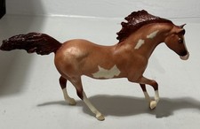 andalusian stallion for sale andalusian stallion for sale Newark