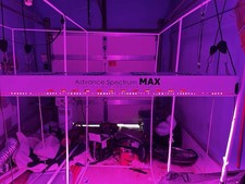 Indoor led grow for sale  Valley Stream