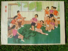 scuola danza usato  Medole