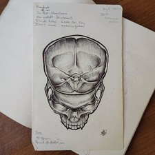 Hand drawn skull for sale  Lima