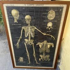 Tavola didattica paravia usato  Italia