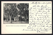 Old postcard monte d'occasion  Expédié en Belgium