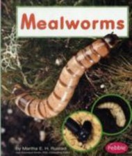 Mealworms martha e. for sale  Aurora