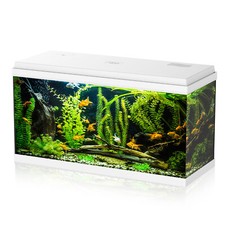 Simply 100 acquario usato  Italia