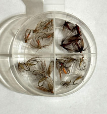 Soft hackle flies for sale  Tulsa