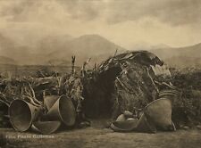 1900 edward curtis usato 1900 edward curtis usato  Spedire a Italy