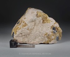 bustamite for sale  Franklin
